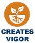 icon creates vigor